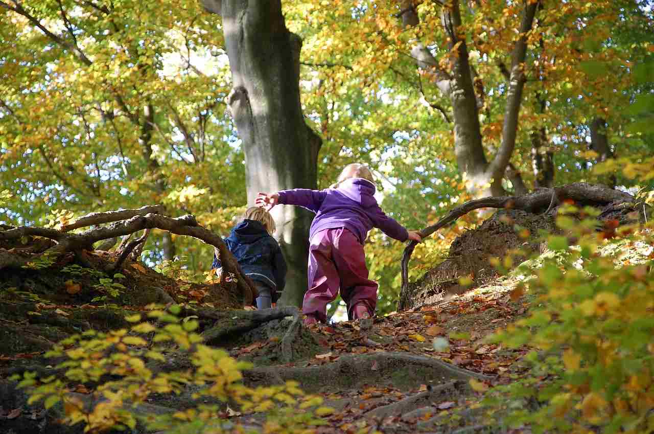 Kindern klettern im Wald