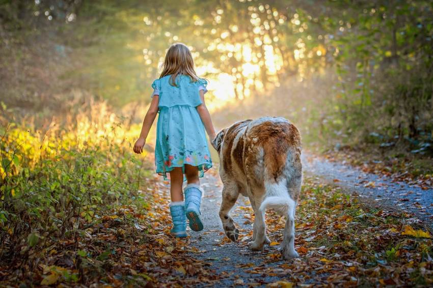 Kind mit Hund im Wald