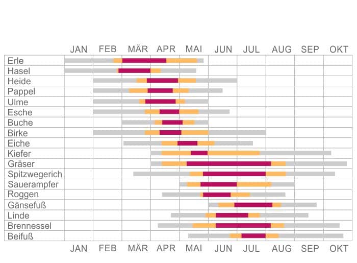 Pollenflugkalender