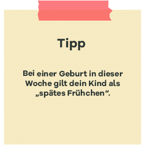 Tipp zur SSW 36: Geburt