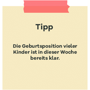 Tipp zur SSW 36: Geburtsposition