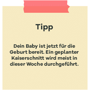 Tipp zur SSW 38: Baby fuer Geburt bereit