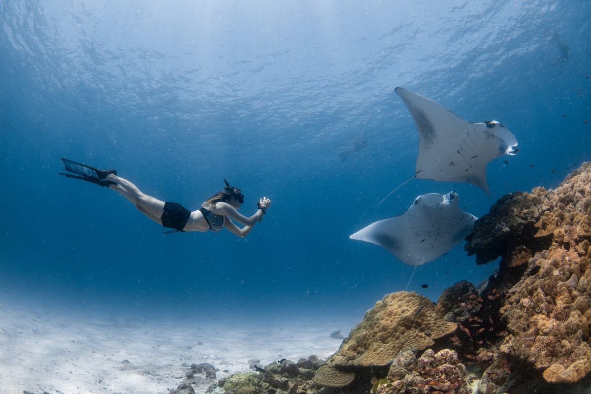 Familienurlaub auf den Malediven: Four Seasons Landaa Giraavaru Reef Mantas © Four Seasons Familienurlaub auf den Malediven: Four Seasons Landaa Giraavaru Reef Mantas © Four Seasons