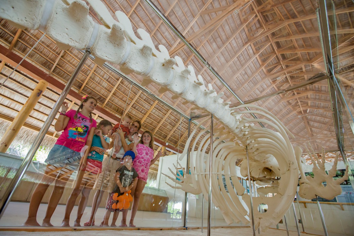 Malediven mit Kindern bereisen: Kuramathi EcoCentreKids © Kuramathi Maldives Malediven mit Kindern bereisen: Kuramathi EcoCentreKids © Kuramathi Maldives